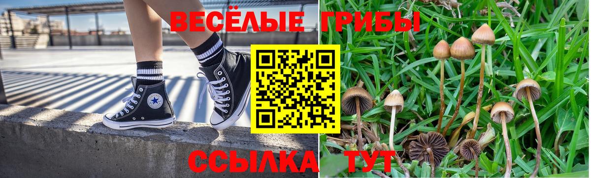 Симферополь  Галлюциногенные грибы Magic Shrooms  Вход с VPN  Псилоцибиновые грибы MAGIC MUSHROOMS 
